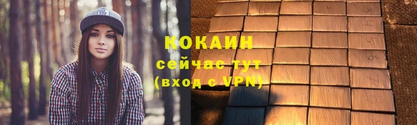 молекула духа Щучье