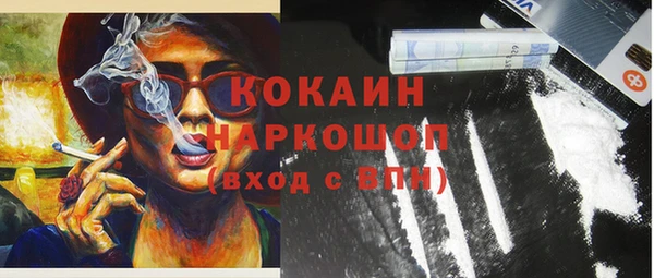 дживик Костерёво