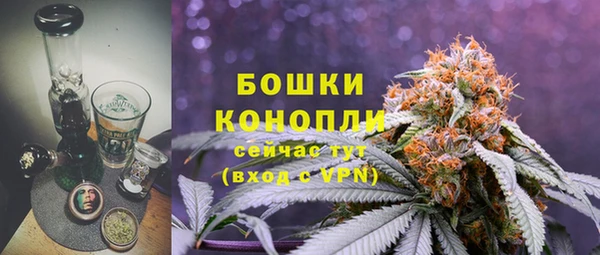 крисы Коряжма
