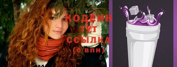крисы Коряжма