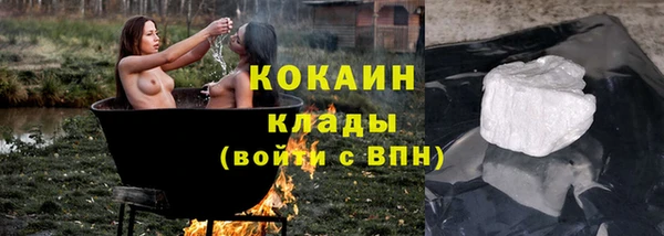 крисы Коряжма